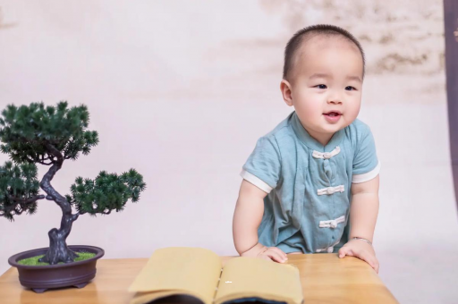 乌鲁木齐可爱的企鹅宝宝